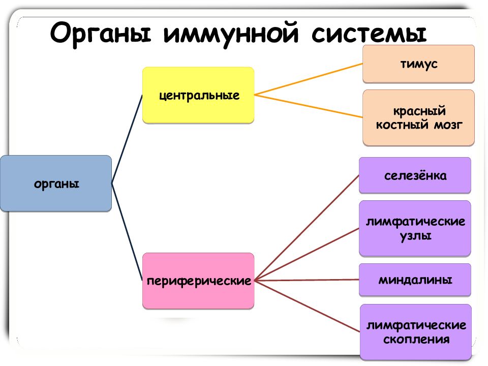 Внутренняя среда системы