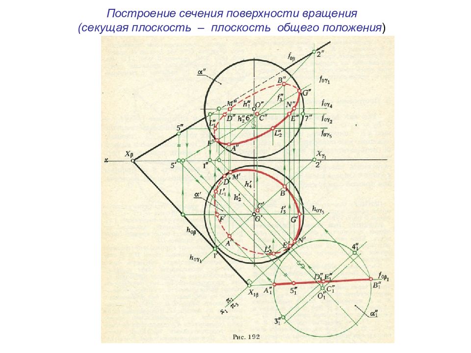 Сечения поверхности вращения плоскостью