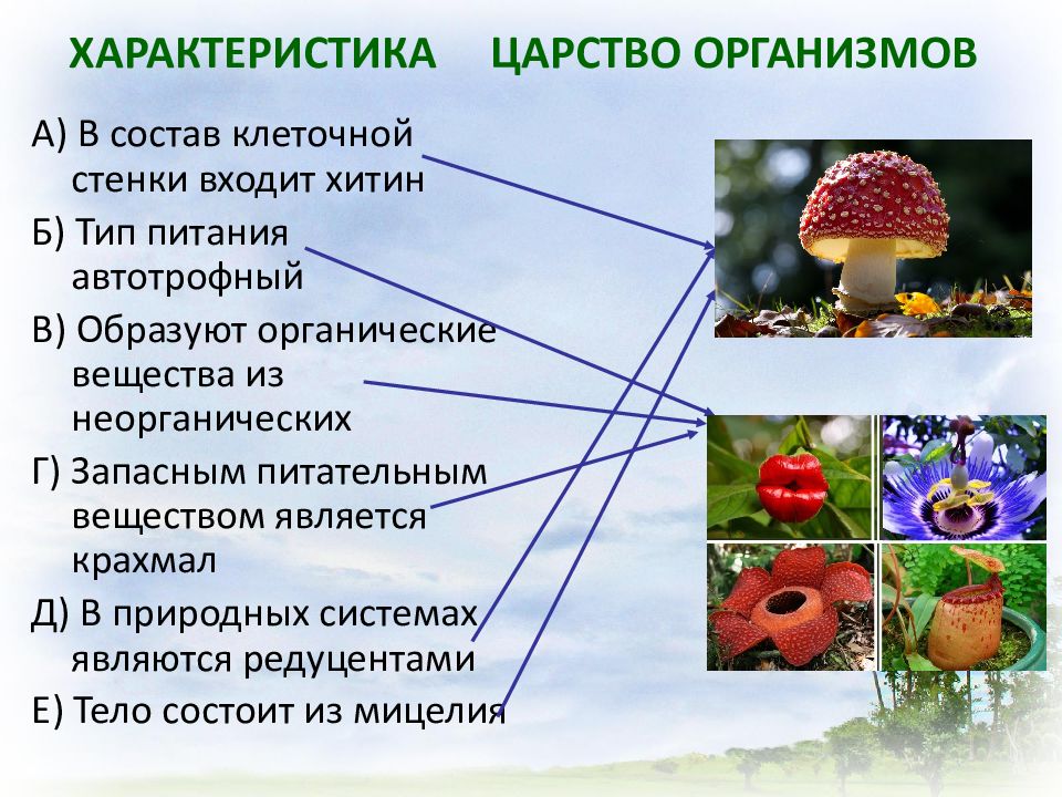 Организмы образующие органические вещества из неорганических. Соответствие между характеристиками и царствами организмов. Свойство движения у Царств организмов. Отличные признаки царствами. Характеристика Царств.