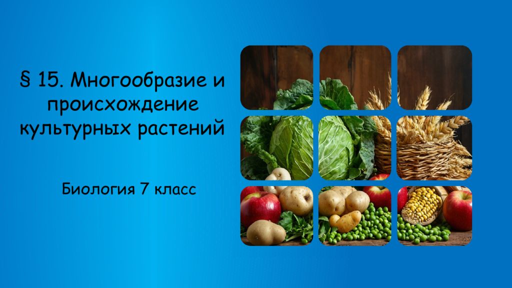 15. Многообразие и происхождение к ультурных растений Биология 7 класс