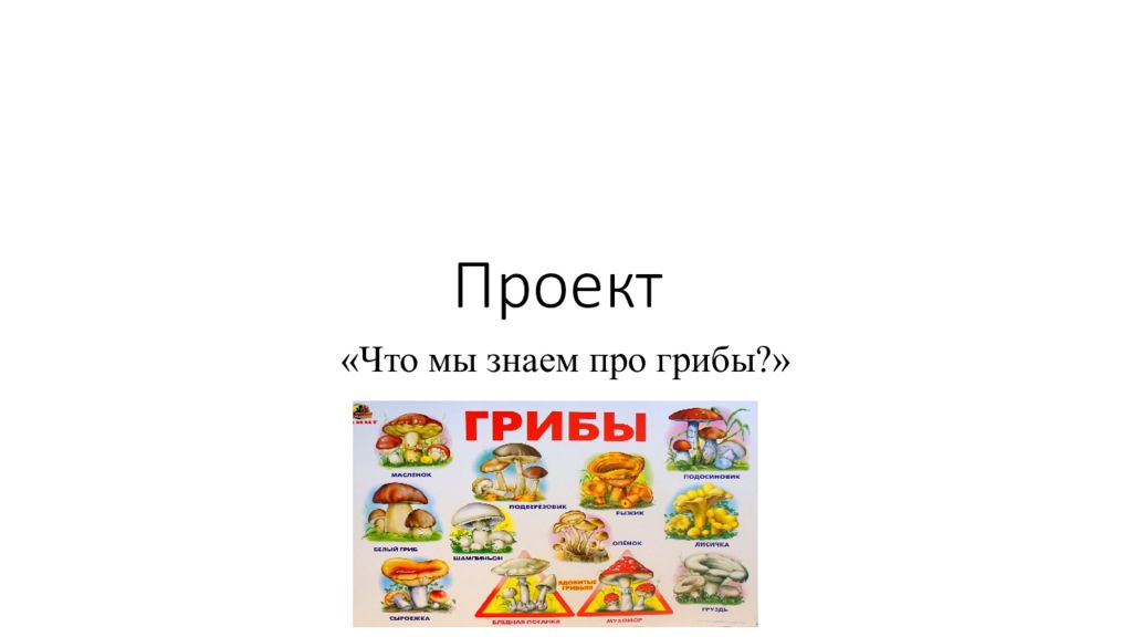 Проект