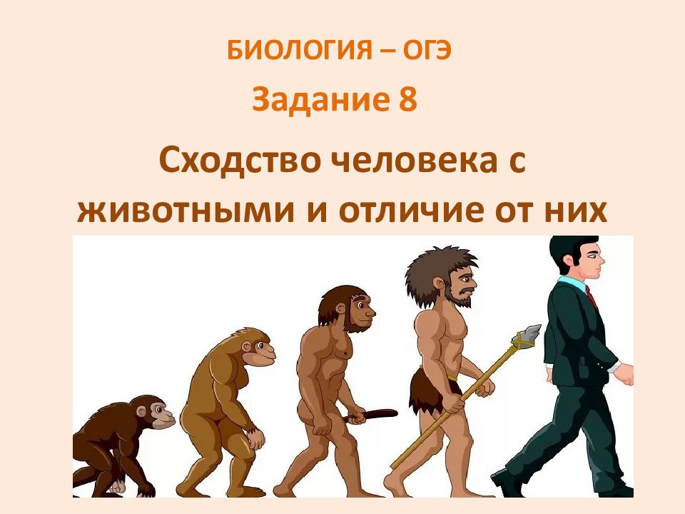 Сходство человека с животными и отличие от них