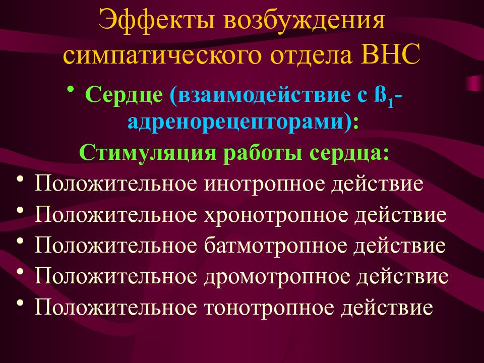 Автономная вегетативная нервная система презентация