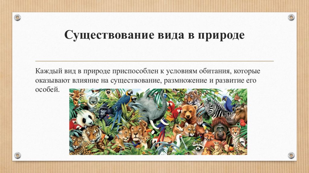 Вид существует в природе. Существование видов. Существование вида в живой природе. Вид в природе существует в виде. Единица существования вида.