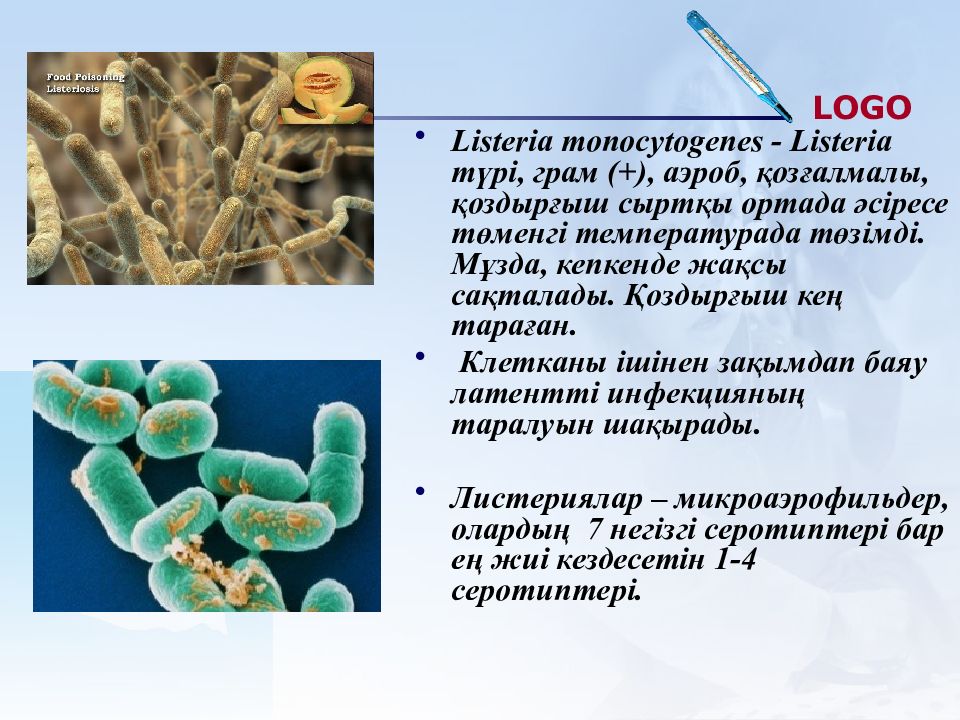 Листериоз у человека причины возникновения симптомы. Listeria monocytogenes (листерии). Listeria monocуtogenes (листерии). Листериоз возбудитель заболевания.