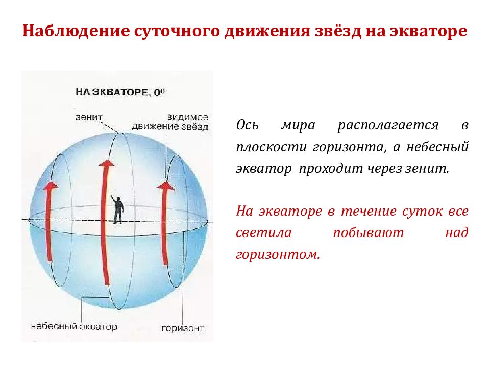 Видимое движение звезд на различных географических широтах презентация 11 класс