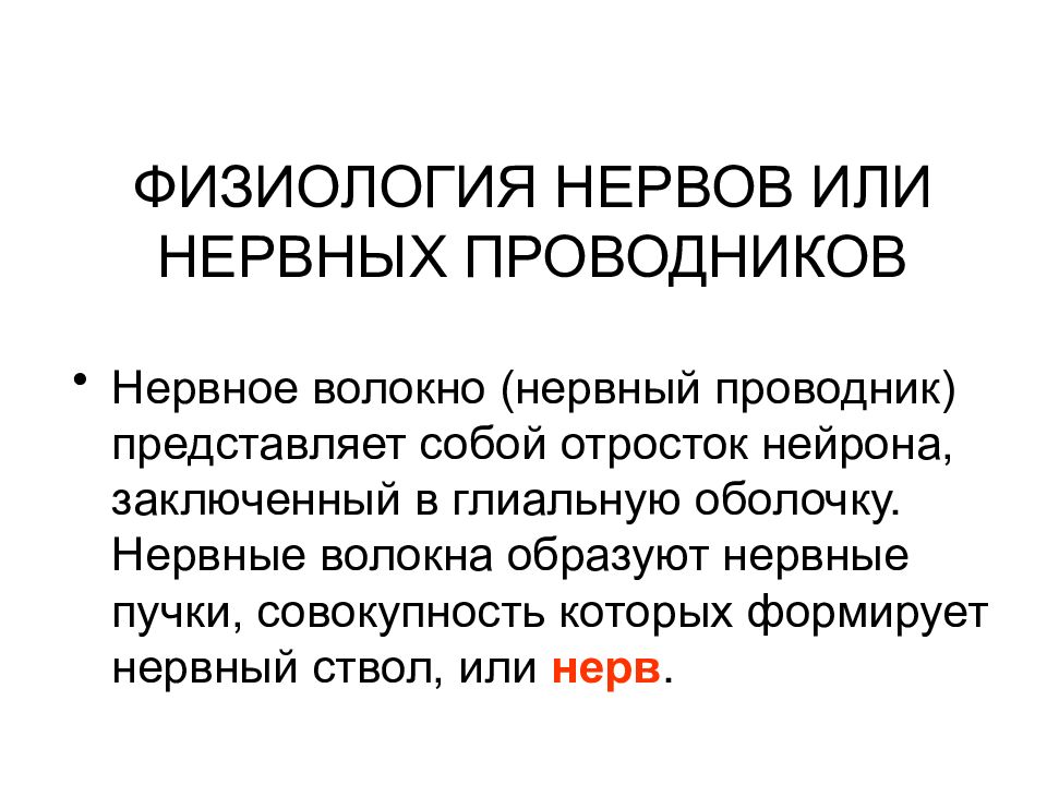 Физиология Нервной Системы Купить