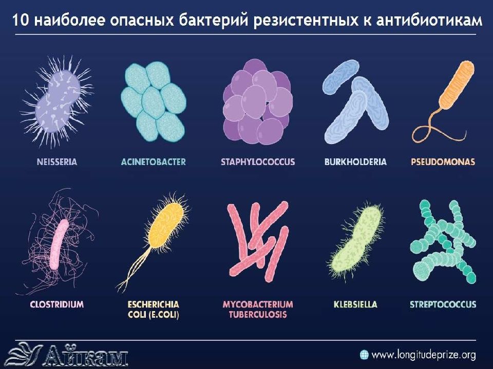 Бактерии человека название. Бактерии названия. Виды бактерий. Виды микроорганизмов. Бактерии названия бактерий.