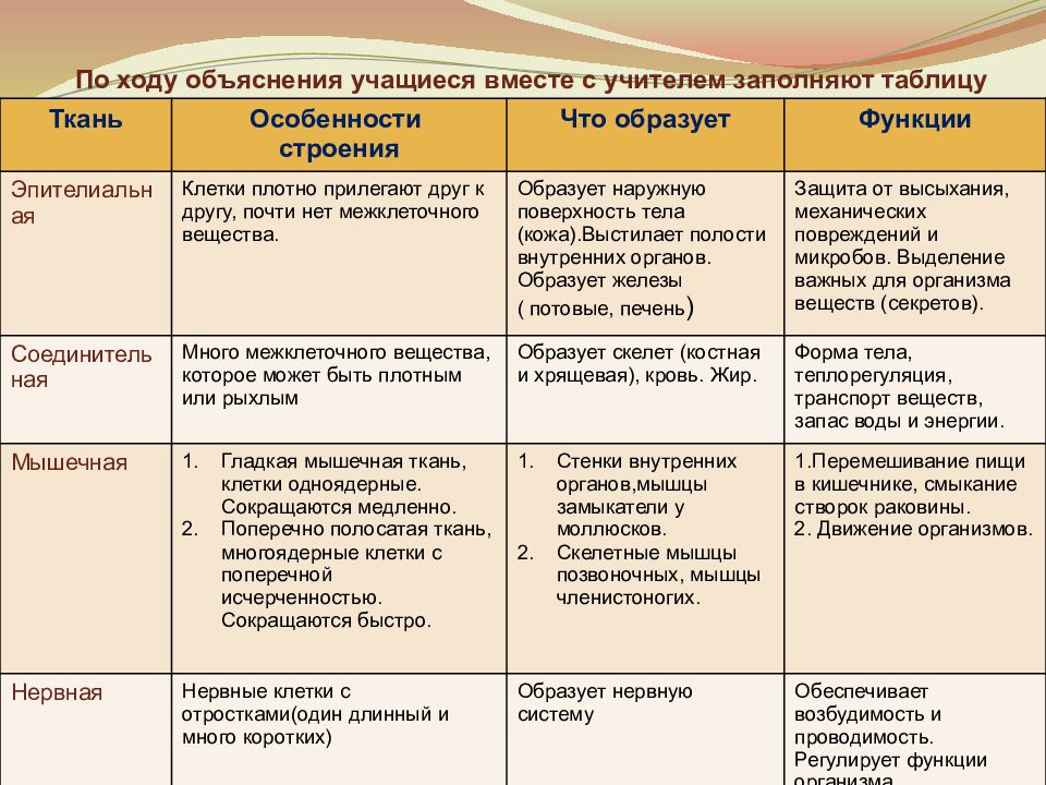 План уроков по биологии 7 класс