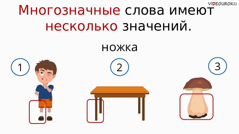 Имеет много значений. Однозначные и многозначные слова. Ножка многозначное слово. Многозначные слова задания. Рисунок однозначные и многозначные слова.