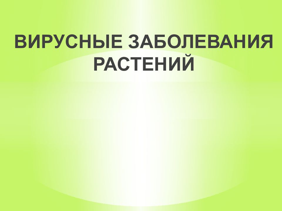 ВИРУСНЫЕ ЗАБОЛЕВАНИЯ РАСТЕНИЙ
