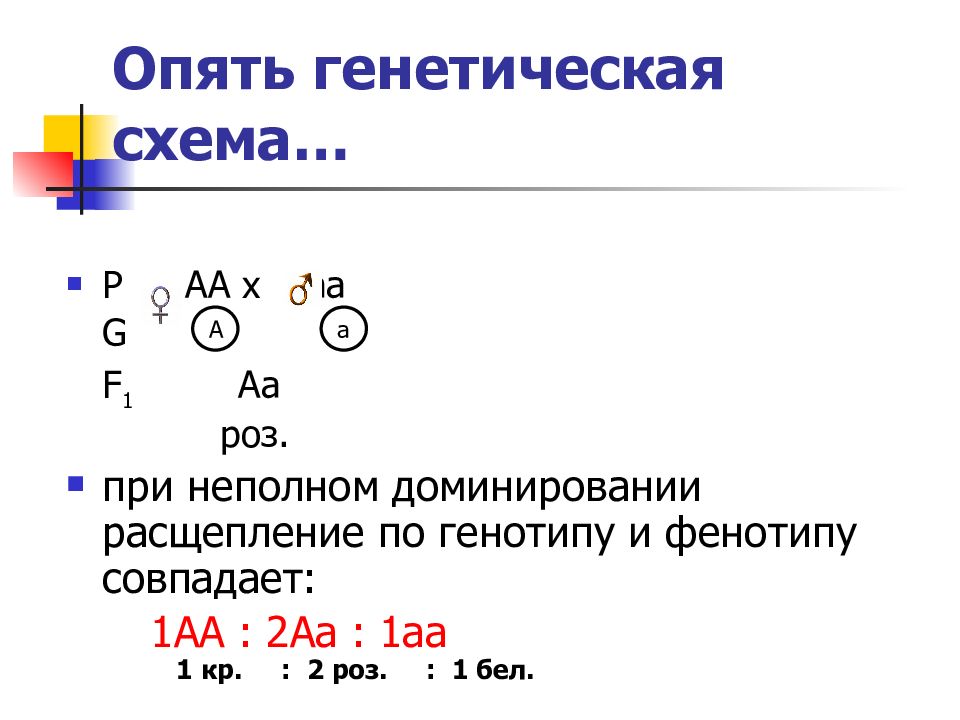 Неполное доминирование расщепление по фенотипу. Генетическая схема. Схему историко-генетического. Расщепление по фенотипу 1 1 1 1. Расщепления генотипа 1:1:1:1.