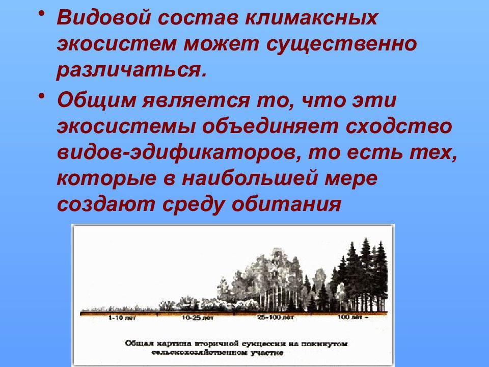 Саморазвитие экосистем сукцессии презентация