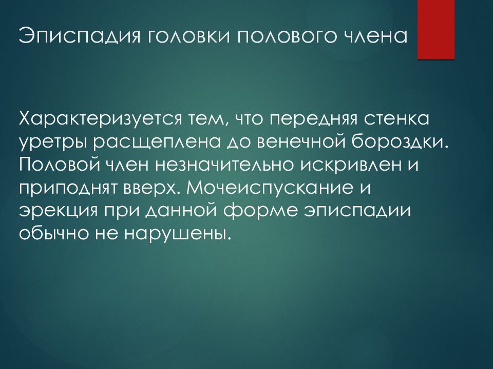 Эписпадия и гипоспадия. Эписпадия головки полового члена. Эписпадия тотальная форма.