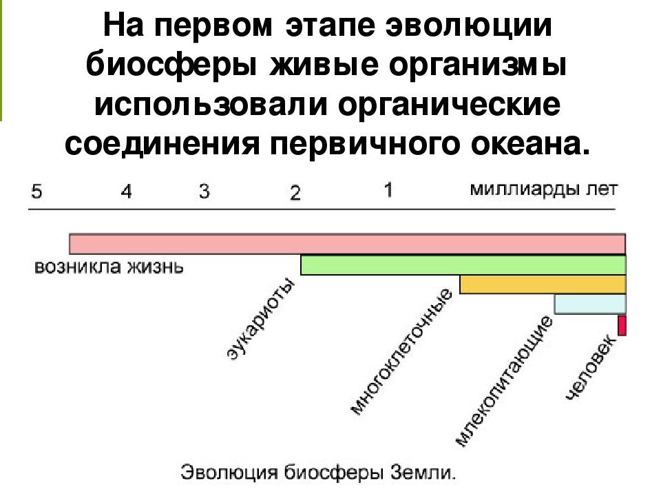 Процесс эволюции биосферы проект