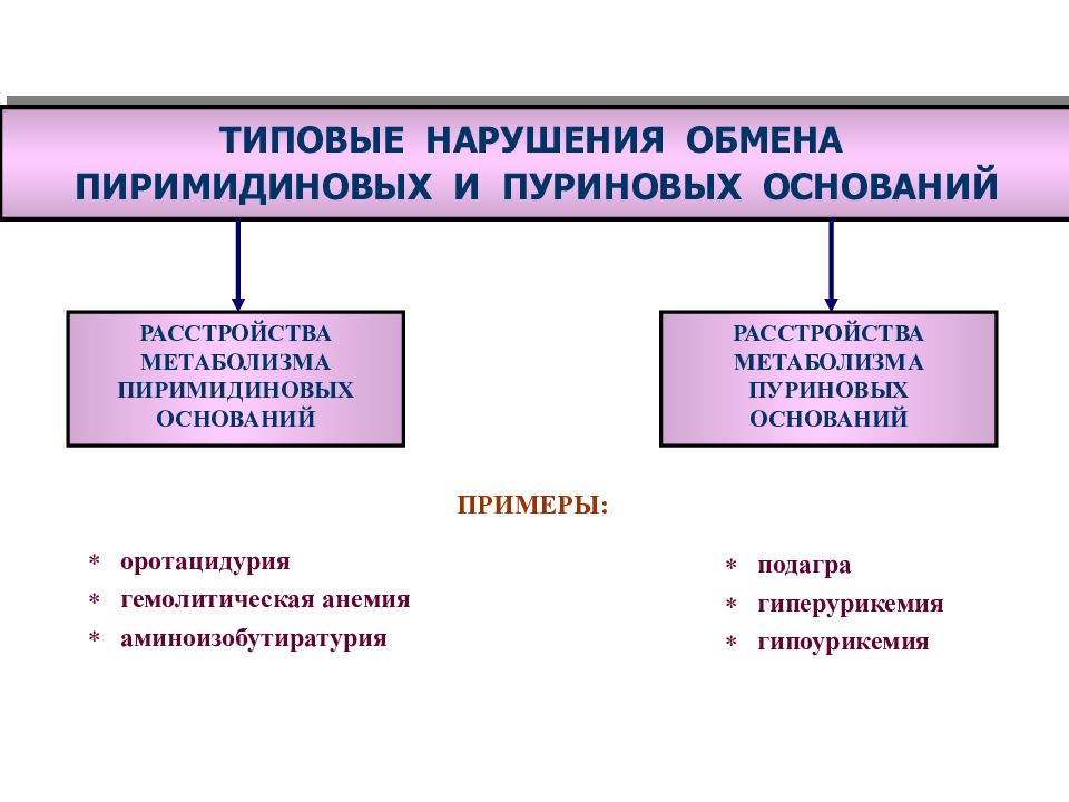 Схема пуринового обмена