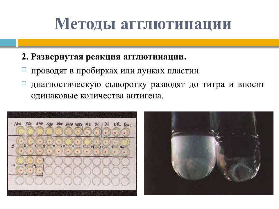 Реакции агглютинации презентация