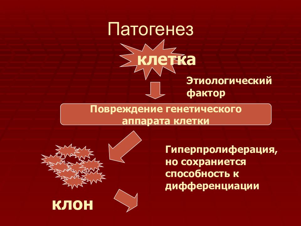 Хронические лейкозы презентация