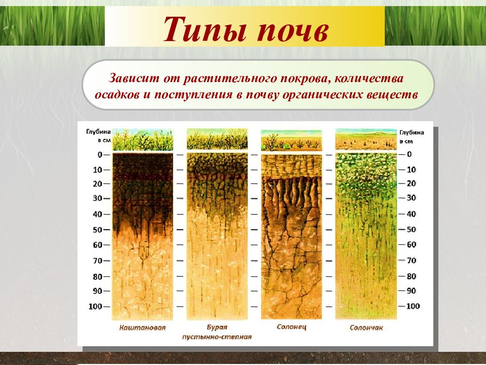 Пересказ почва география 6 класс. Типы почв. Почва виды почв. Типы почв 6 класс география.