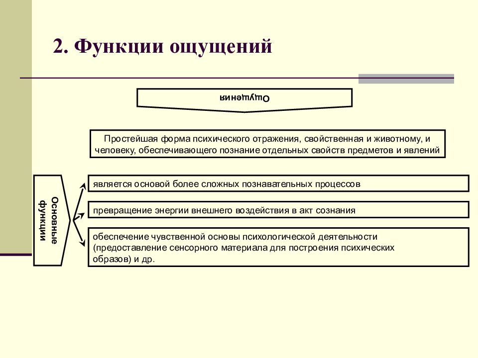 Общие свойства ощущений схема