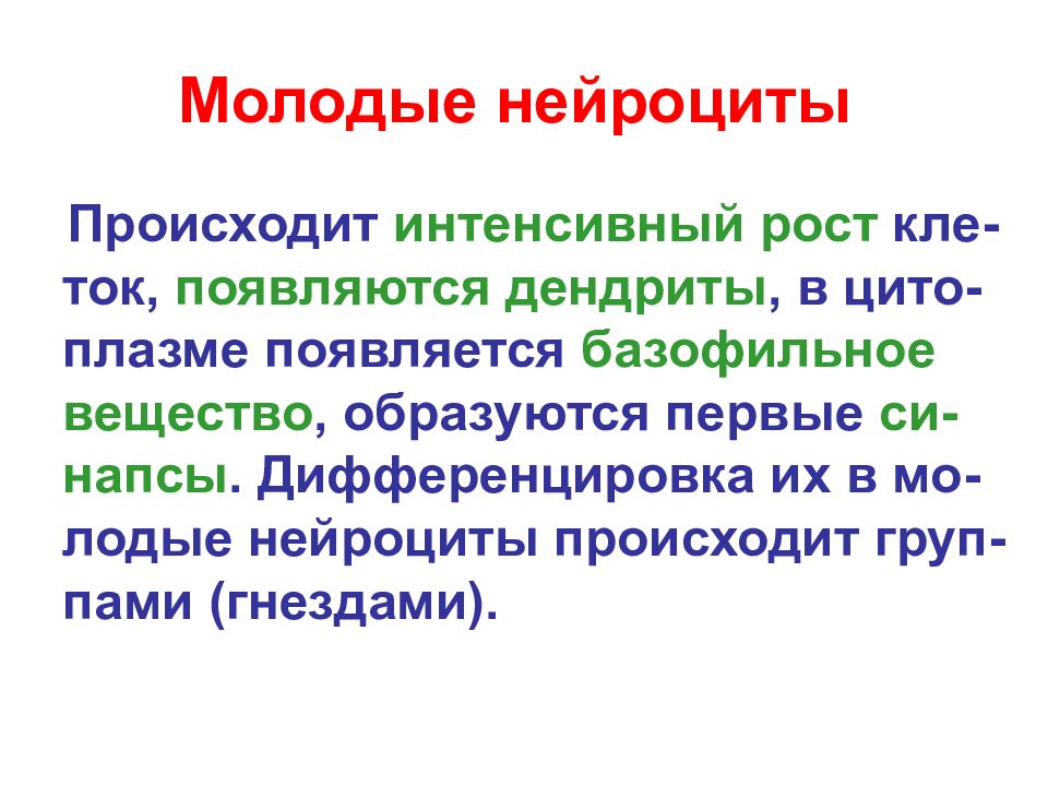 Нейроциты это. Нейроциты. Нейроциты развиваются из. Цитодифференцировка. Кле=иптоман.