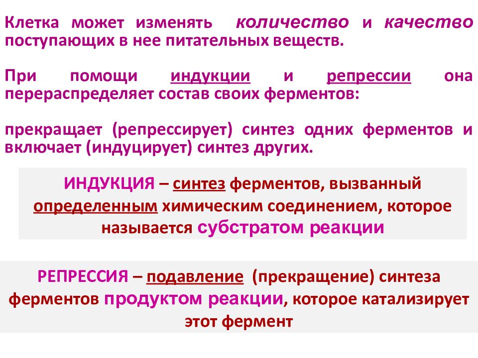 Схема регуляции биосинтеза белка по типу индукции и по типу репрессии