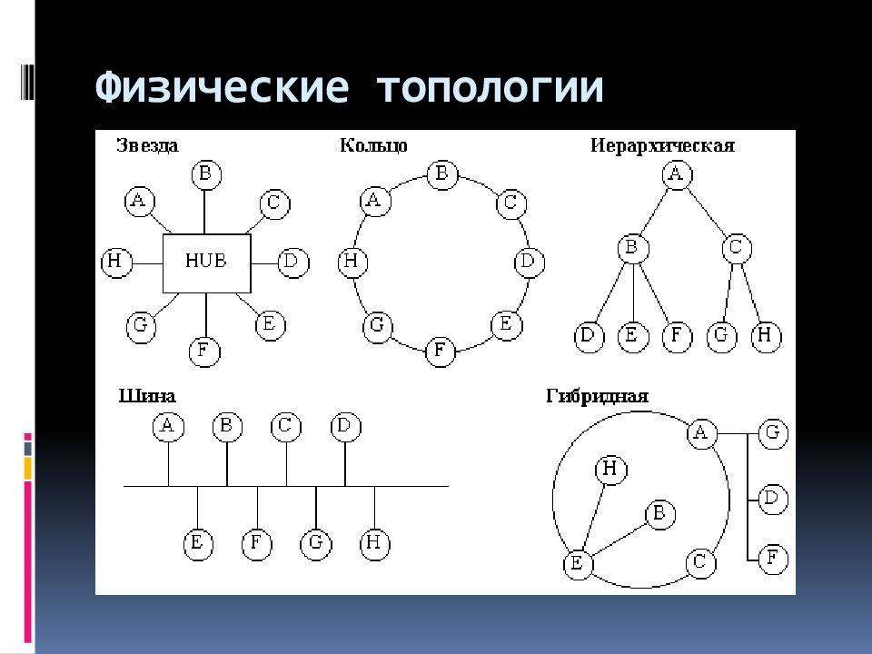 основные понятия сетевой модели данных. сетевая модель презентация. сетевая модель в землеустройстве. сетевая модель данных бд. сетевое моделирование.