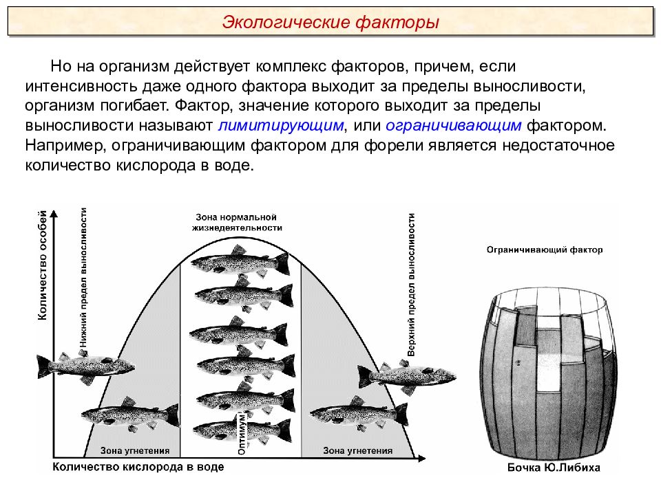 Фактор 11. Экология. Экологические факторы Пименов. Экологические факторы Пименов. Презентации Пименова экологические факторы. Пименов экология презентации.