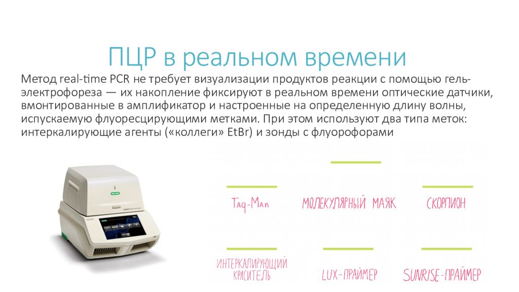 Недорогой пцр. ПЦР. Полимеразная цепная реакция (ПЦР). Полимеразная цепная реакция оборудование. Полимеразная цепная реакция визуализация.