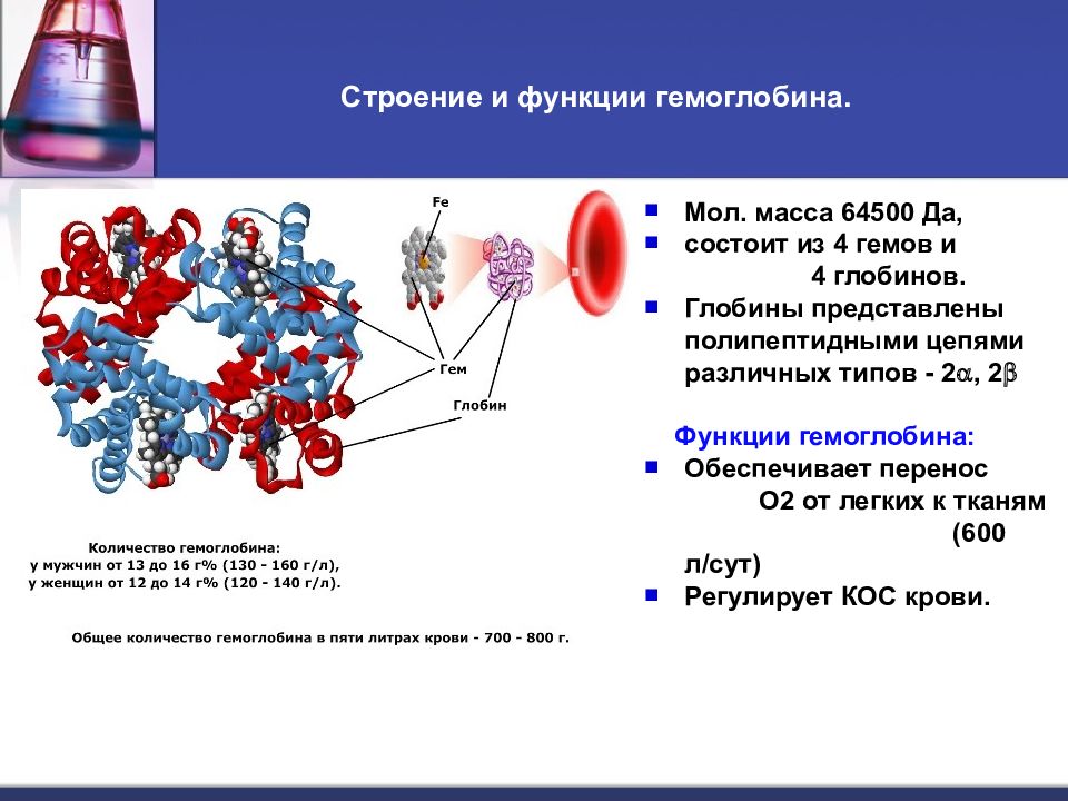 Функции гемоглобина. Структура и функции гемоглобина биохимия. Строение белков гемоглобина. Гемоглобин белок структура. Гемоглобин крови белок функции.