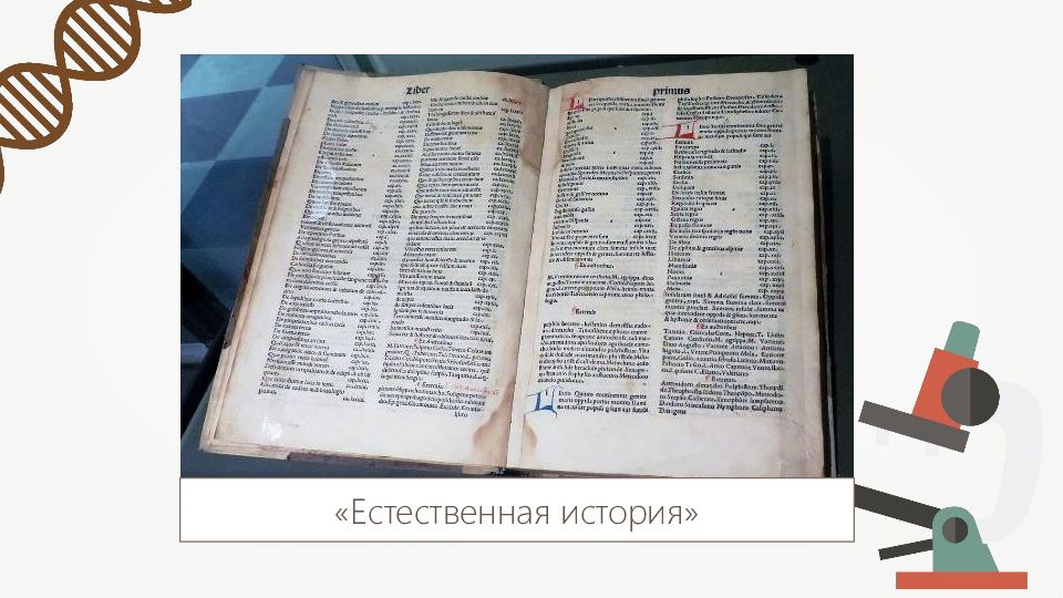 Великая книга природы