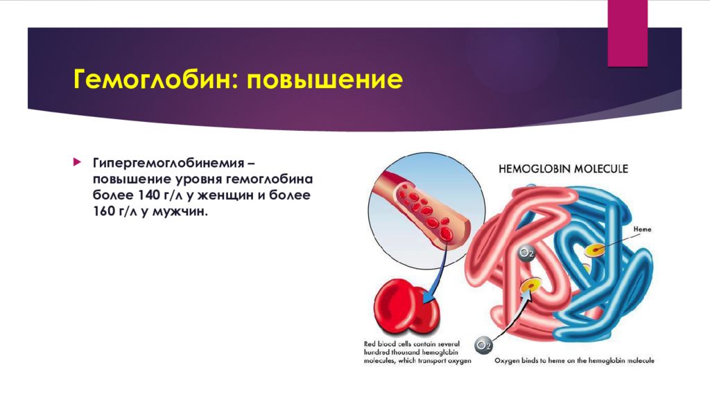 Повышенный г. Гипергемоглобинемия. Увеличение гемоглобина. Гипергемоглобинемия рекомендации. Гипергемоглобинемия причины у женщин.