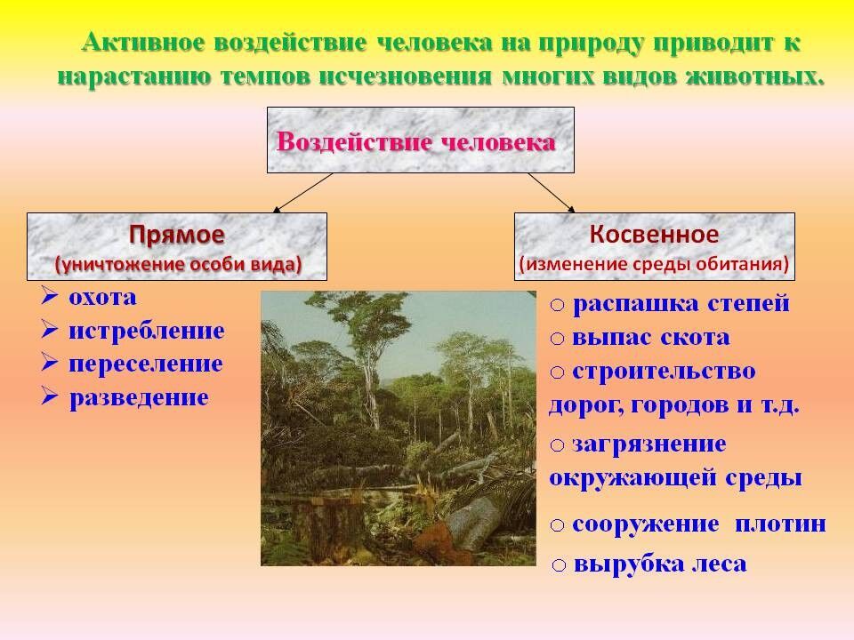 ОХРАНА РАСТИТЕЛЬНОГО МИРА