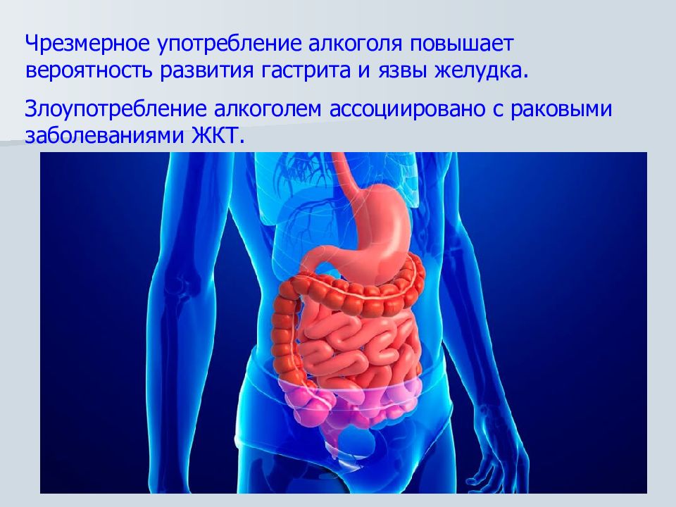 Жкт картинки для презентации