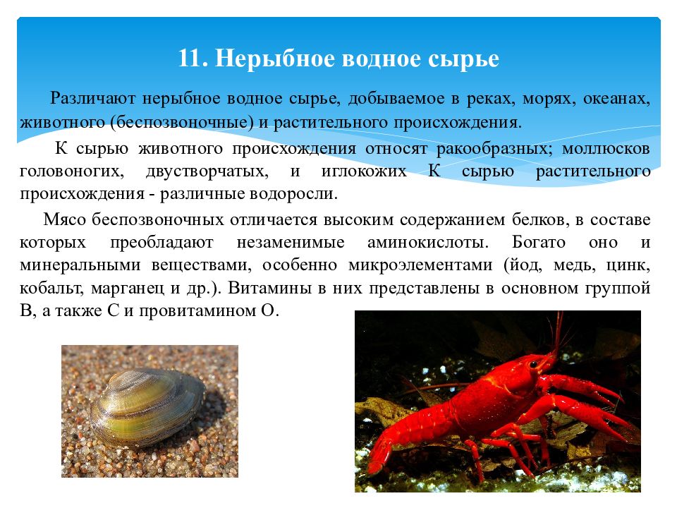 Водное сырье. Нерыбное водное сырье. Классификация нерыбного водного сырья. Характеристика нерыбного водного сырья. Нерыбное водное сырье Товароведение.