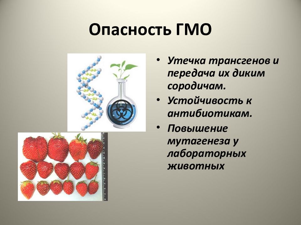 Генетически модифицированные организмы проект по биологии 9 класс