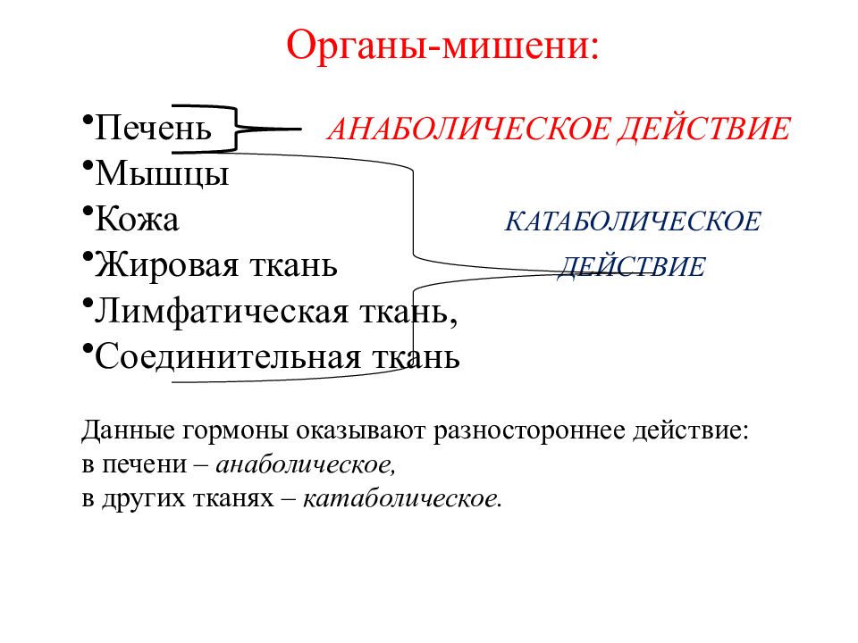 Анаболический эффект. Анаболические и катаболические гормоны. Гормоны анаболического действия. Катаболическое и анаболическое действие гормонов. К гормонам, обладающим катаболическим эффектом.