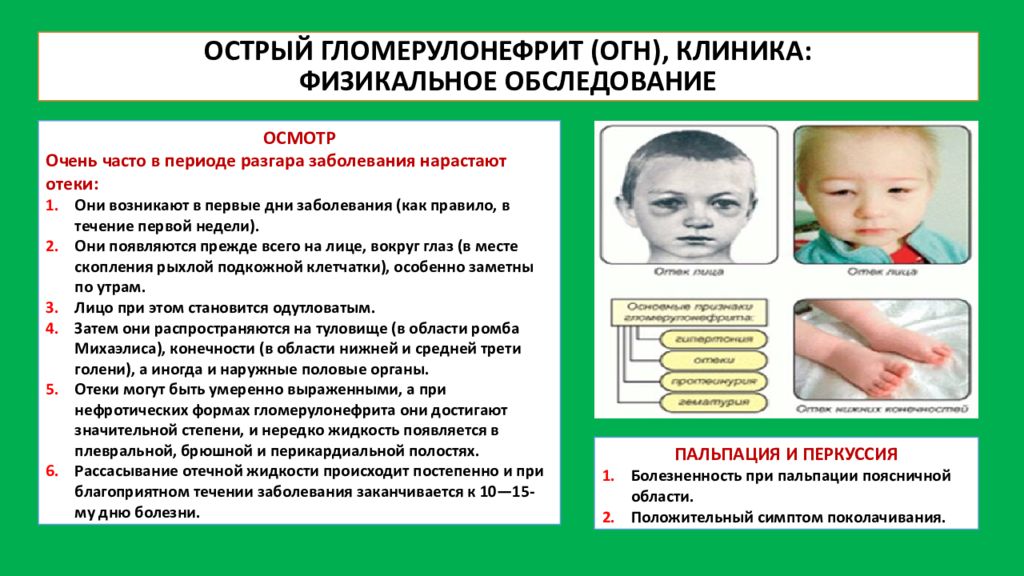 Гломерулонефрит у детей презентация педиатрия