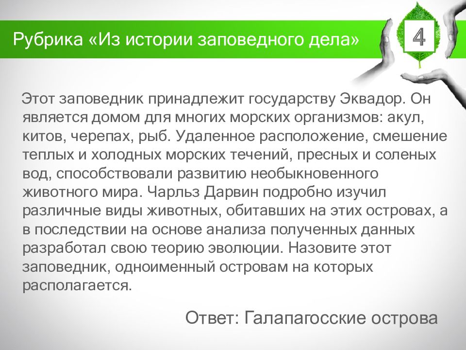 Юннатское движение в россии презентация