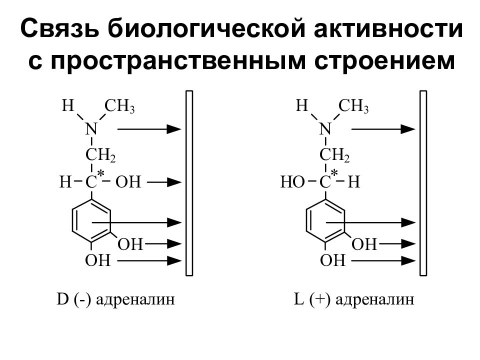 Активность биология. Энантиомеры адреналина. Связь пространственного строения с биологической активностью. Связь структура биологическая активность. Стереоизомеры адреналина.