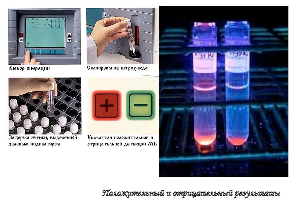 Пцр применение презентация