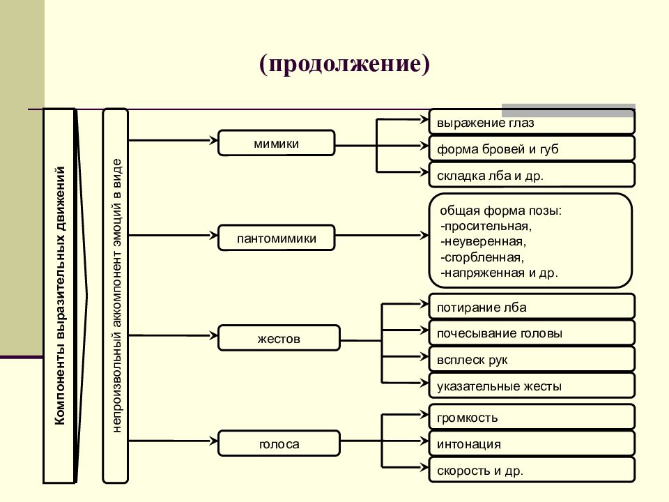 Психические процессы презентация