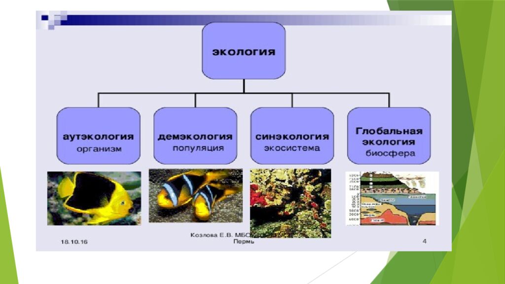 Tabiat bilan tanishtirish orqali maktabgacha yoshdagi bolalarda ekologik