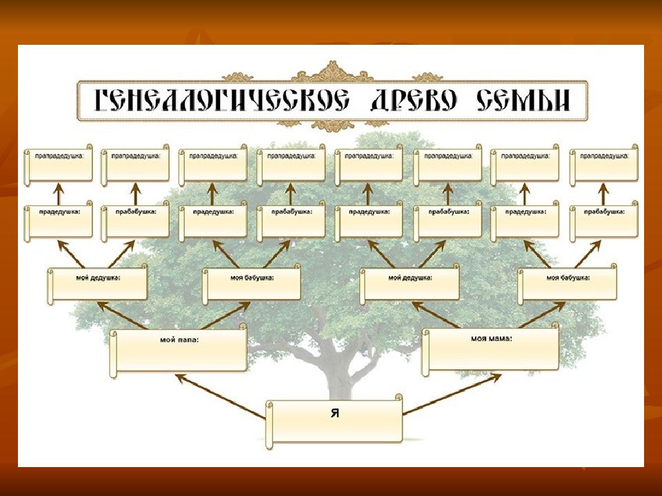 Ознакомившись со своей родословной покажите на схеме или на рисунке