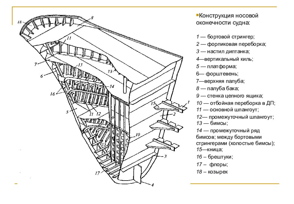 Что такое конструкция. Носовая оконечность судна чертеж. Чертеж бортовой секции судна. Конструкция носовой оконечности судна. Набор палубы судна чертёж.