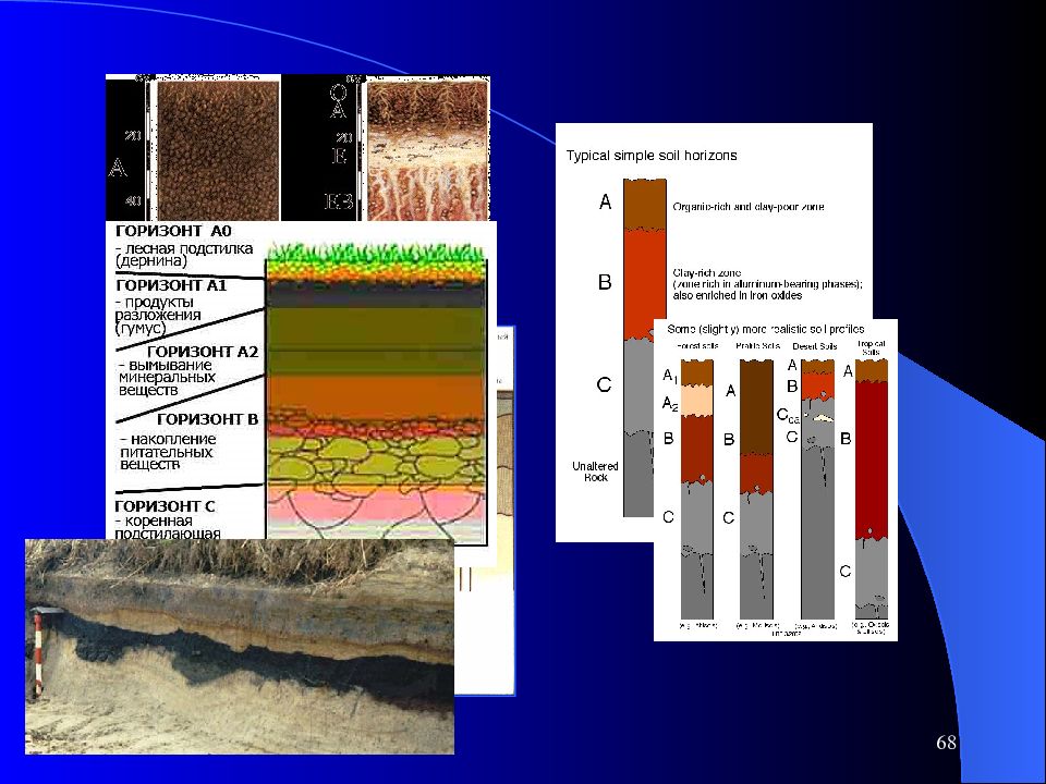 Общее почвоведение. Профиль почв почвоведение. Почвоведение презентация. Почва биохимия. Моделирование в почвоведении.