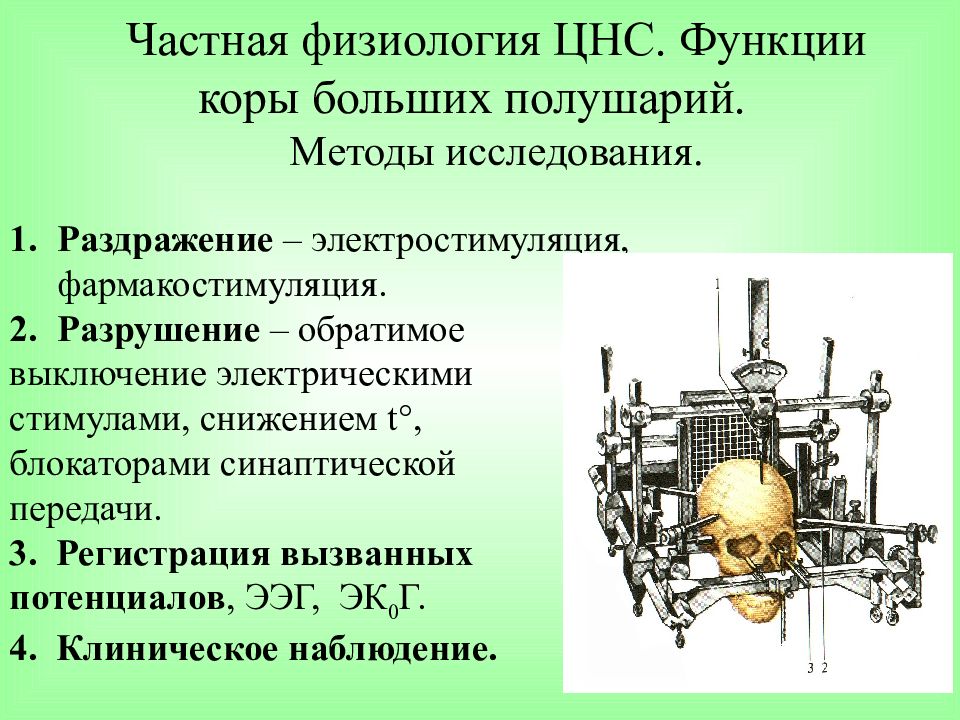 Физиология нервной системы. Методы исследования функций коры физиология. Частная физиология ЦНС физиология. Методы исследования функций ЦНС. Методы изучения физиологии ЦНС.