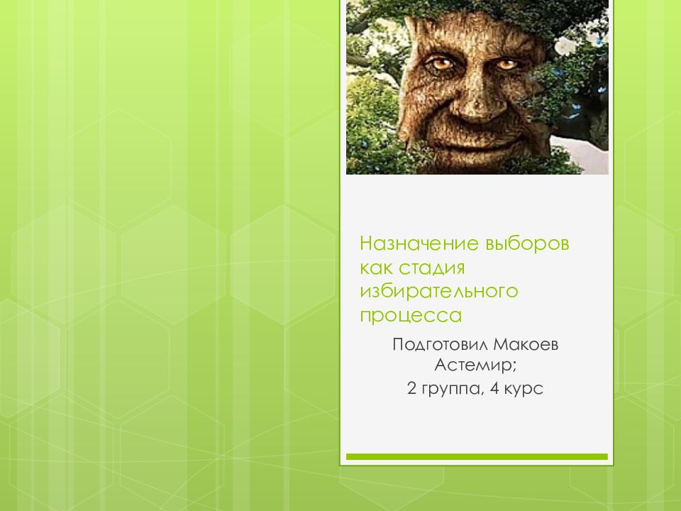 Назначение выборов как стадия избирательного процесса