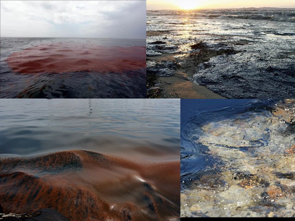 Экологические проблемы белого моря и азовского. Экологические проблемы черного моря. Экологические проблемы белого моря и азовского. Экологические проблемы белого моря и азовского. Экологические проблемы азовского моря.