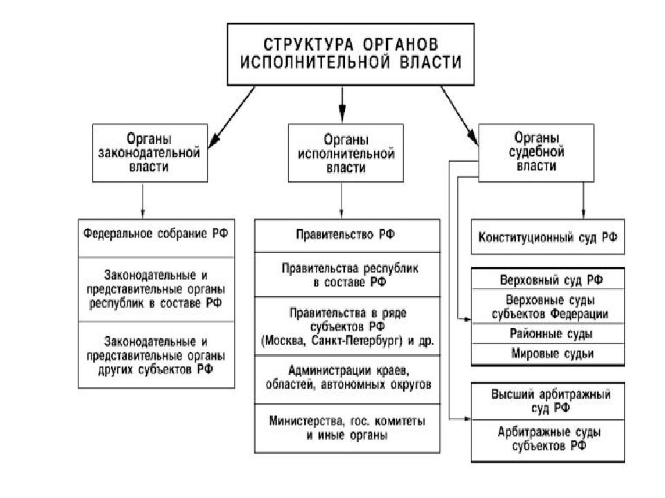 Ветви власти и их функции презентация